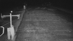 TJ Němčičky - Koberec - 17.12.2025 v 05:00 TJ Němčičky - Koberec - 17.12.2025 v 05:00