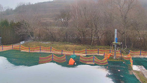 TJ Němčičky - Koberec - 17.12.2025 v 12:00 TJ Němčičky - Koberec - 17.12.2025 v 12:00