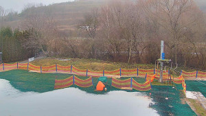 TJ Němčičky - Koberec - 17.12.2025 v 13:00 TJ Němčičky - Koberec - 17.12.2025 v 13:00