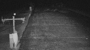 TJ Němčičky - Koberec - 17.12.2025 v 22:00 TJ Němčičky - Koberec - 17.12.2025 v 22:00