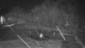 TJ Němčičky - Koberec - 21.12.2025 v 00:00 TJ Němčičky - Koberec - 21.12.2025 v 00:00