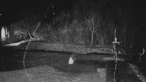 TJ Němčičky - Koberec - 24.12.2025 v 01:00 TJ Němčičky - Koberec - 24.12.2025 v 01:00