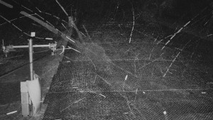 TJ Němčičky - Koberec - 24.12.2025 v 02:00 TJ Němčičky - Koberec - 24.12.2025 v 02:00