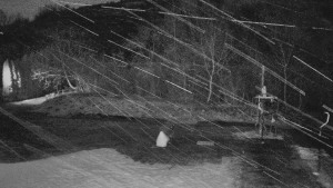 TJ Němčičky - Koberec - 24.12.2025 v 07:00 TJ Němčičky - Koberec - 24.12.2025 v 07:00