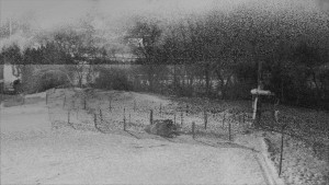 TJ Němčičky - Koberec - 1.1.2026 v 00:00 TJ Němčičky - Koberec - 1.1.2026 v 00:00