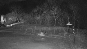 TJ Němčičky - Koberec - 1.1.2026 v 06:00 TJ Němčičky - Koberec - 1.1.2026 v 06:00