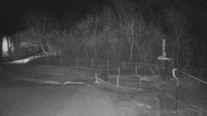 TJ Němčičky - Koberec - 22.1.2026 v 01:00 TJ Němčičky - Koberec - 22.1.2026 v 01:00