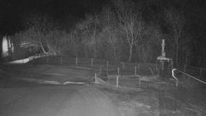 TJ Němčičky - Koberec - 22.1.2026 v 05:00 TJ Němčičky - Koberec - 22.1.2026 v 05:00