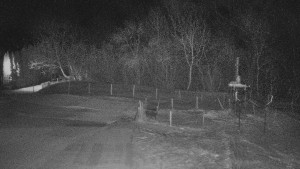 TJ Němčičky - Koberec - 22.1.2026 v 18:00 TJ Němčičky - Koberec - 22.1.2026 v 18:00