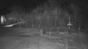 TJ Němčičky - Koberec - 22.1.2026 v 21:30 TJ Němčičky - Koberec - 22.1.2026 v 21:30