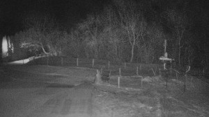 TJ Němčičky - Koberec - 22.1.2026 v 22:30 TJ Němčičky - Koberec - 22.1.2026 v 22:30