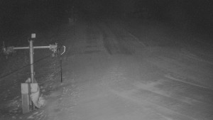 TJ Němčičky - Koberec - 22.1.2026 v 23:00 TJ Němčičky - Koberec - 22.1.2026 v 23:00