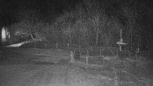 TJ Němčičky - Koberec - 22.1.2026 v 23:30 TJ Němčičky - Koberec - 22.1.2026 v 23:30