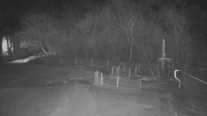 TJ Němčičky - Koberec - 27.1.2026 v 00:00 TJ Němčičky - Koberec - 27.1.2026 v 00:00