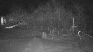 TJ Němčičky - Koberec - 27.1.2026 v 01:00 TJ Němčičky - Koberec - 27.1.2026 v 01:00