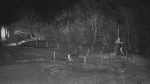 TJ Němčičky - Koberec - 6.2.2026 v 00:00 TJ Němčičky - Koberec - 6.2.2026 v 00:00