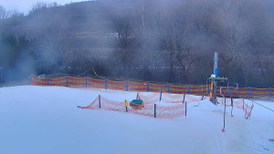 TJ Němčičky - Koberec - 6.2.2026 v 07:30 TJ Němčičky - Koberec - 6.2.2026 v 07:30