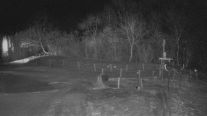 TJ Němčičky - Koberec - 20.2.2026 v 01:00 TJ Němčičky - Koberec - 20.2.2026 v 01:00