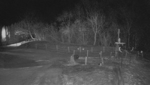 TJ Němčičky - Koberec - 20.2.2026 v 02:00 TJ Němčičky - Koberec - 20.2.2026 v 02:00