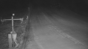 TJ Němčičky - Koberec - 20.2.2026 v 05:00 TJ Němčičky - Koberec - 20.2.2026 v 05:00