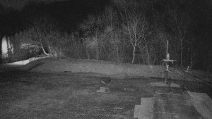 TJ Němčičky - Koberec - 21.3.2026 v 19:00 TJ Němčičky - Koberec - 21.3.2026 v 19:00