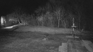 TJ Němčičky - Koberec - 21.3.2026 v 21:30 TJ Němčičky - Koberec - 21.3.2026 v 21:30