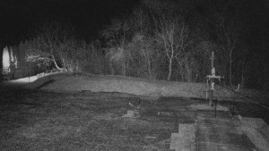 TJ Němčičky - Koberec - 25.3.2026 v 01:00 TJ Němčičky - Koberec - 25.3.2026 v 01:00