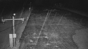 TJ Němčičky - Koberec - 25.3.2026 v 21:00 TJ Němčičky - Koberec - 25.3.2026 v 21:00