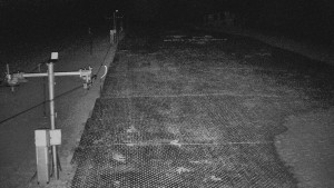 TJ Němčičky - Koberec - 25.3.2026 v 22:00 TJ Němčičky - Koberec - 25.3.2026 v 22:00