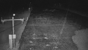 TJ Němčičky - Koberec - 25.3.2026 v 23:00 TJ Němčičky - Koberec - 25.3.2026 v 23:00