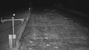 TJ Němčičky - Koberec - 8.4.2026 v 03:00 TJ Němčičky - Koberec - 8.4.2026 v 03:00