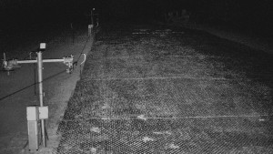 TJ Němčičky - Koberec - 8.4.2026 v 05:00 TJ Němčičky - Koberec - 8.4.2026 v 05:00