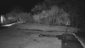 TJ Němčičky - Koberec - 15.4.2026 v 03:00 TJ Němčičky - Koberec - 15.4.2026 v 03:00