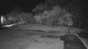 TJ Němčičky - Koberec - 15.4.2026 v 23:30 TJ Němčičky - Koberec - 15.4.2026 v 23:30