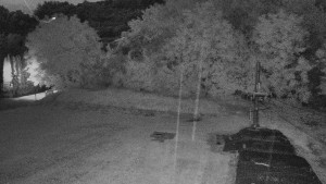 TJ Němčičky - Koberec - 12.6.2026 v 22:00 TJ Němčičky - Koberec - 12.6.2026 v 22:00