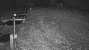 TJ Němčičky - Koberec - 15.9.2026 v 04:00 TJ Němčičky - Koberec - 15.9.2026 v 04:00