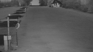 TJ Němčičky - Svah - 5.11.2024 v 06:00 TJ Němčičky - Svah - 5.11.2024 v 06:00