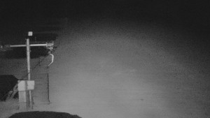 TJ Němčičky - Svah - 16.6.2025 v 23:00 TJ Němčičky - Svah - 16.6.2025 v 23:00