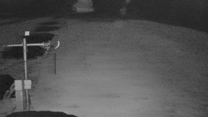 TJ Němčičky - Svah - 5.11.2025 v 02:50 TJ Němčičky - Svah - 5.11.2025 v 02:50