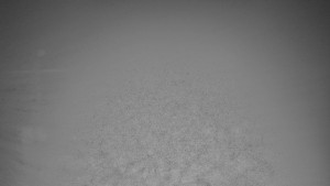 TJ Němčičky - Svah - 12.11.2025 v 00:00 TJ Němčičky - Svah - 12.11.2025 v 00:00