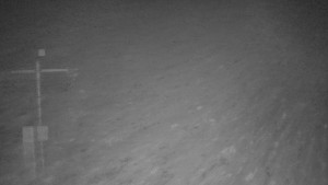 TJ Němčičky - Svah - 12.11.2025 v 01:00 TJ Němčičky - Svah - 12.11.2025 v 01:00