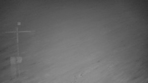 TJ Němčičky - Svah - 12.11.2025 v 04:00 TJ Němčičky - Svah - 12.11.2025 v 04:00