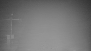 TJ Němčičky - Svah - 12.11.2025 v 06:00 TJ Němčičky - Svah - 12.11.2025 v 06:00