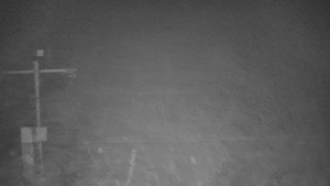 TJ Němčičky - Svah - 12.11.2025 v 19:00 TJ Němčičky - Svah - 12.11.2025 v 19:00