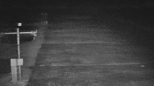 TJ Němčičky - Svah - 12.11.2025 v 21:00 TJ Němčičky - Svah - 12.11.2025 v 21:00