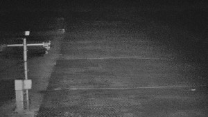 TJ Němčičky - Svah - 12.11.2025 v 22:00 TJ Němčičky - Svah - 12.11.2025 v 22:00