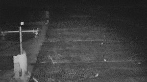 TJ Němčičky - Svah - 15.11.2025 v 04:15 TJ Němčičky - Svah - 15.11.2025 v 04:15