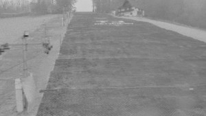 TJ Němčičky - Svah - 15.11.2025 v 07:00 TJ Němčičky - Svah - 15.11.2025 v 07:00