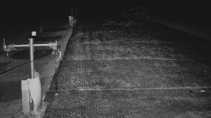 TJ Němčičky - Svah - 27.11.2025 v 05:10 TJ Němčičky - Svah - 27.11.2025 v 05:10