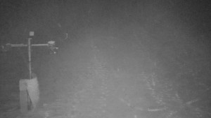 TJ Němčičky - Svah - 1.12.2025 v 01:05 TJ Němčičky - Svah - 1.12.2025 v 01:05